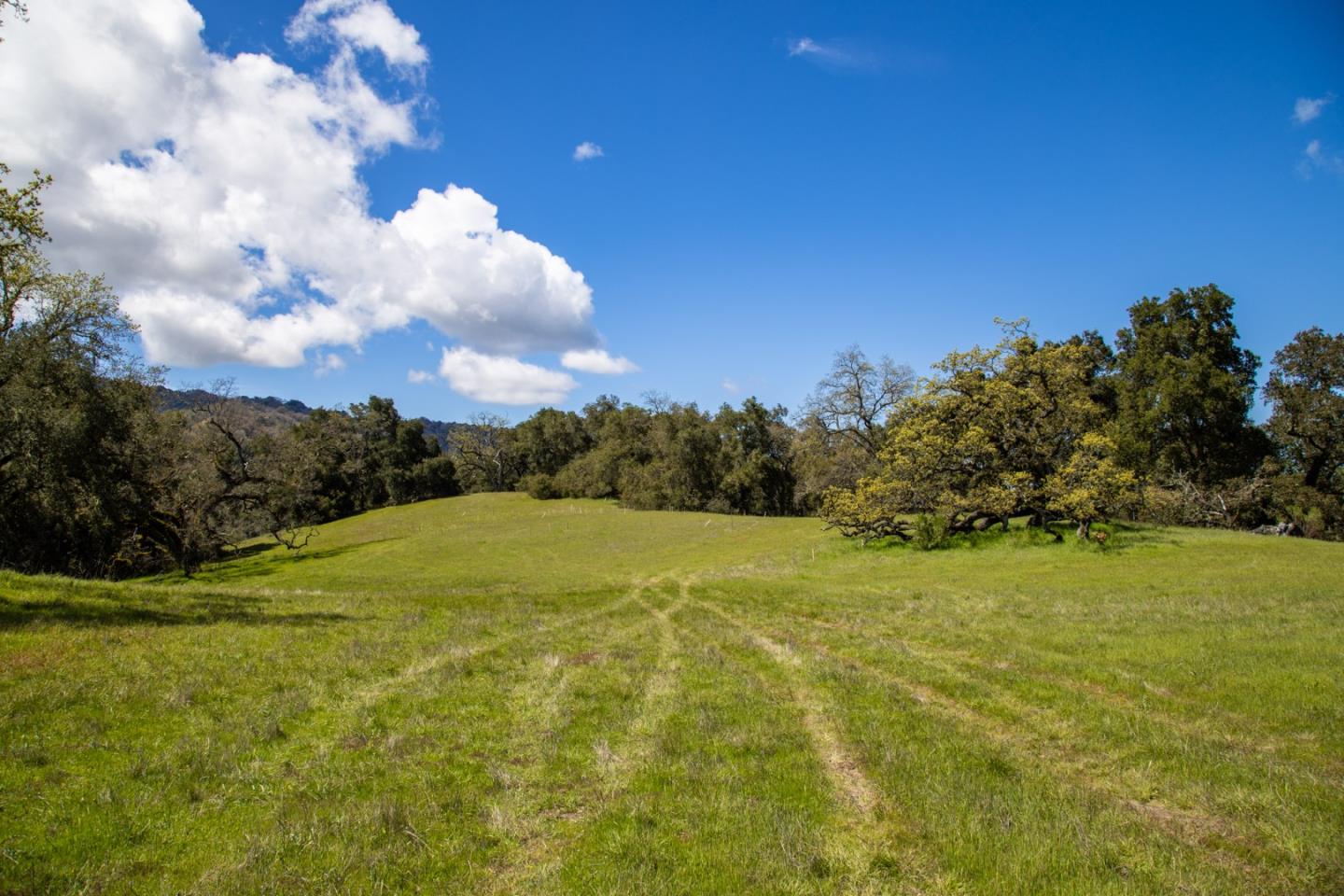 Detail Gallery Image 17 of 19 For 29 Arroyo Sequoia, Carmel,  CA 93923 - – Beds | – Baths