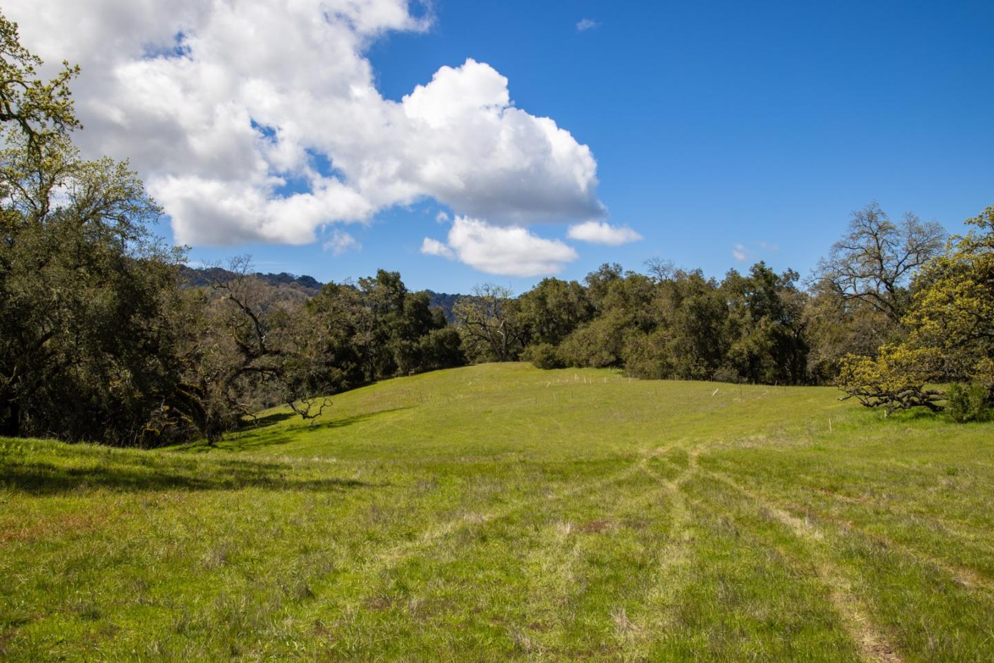 Detail Gallery Image 6 of 19 For 29 Arroyo Sequoia, Carmel,  CA 93923 - – Beds | – Baths