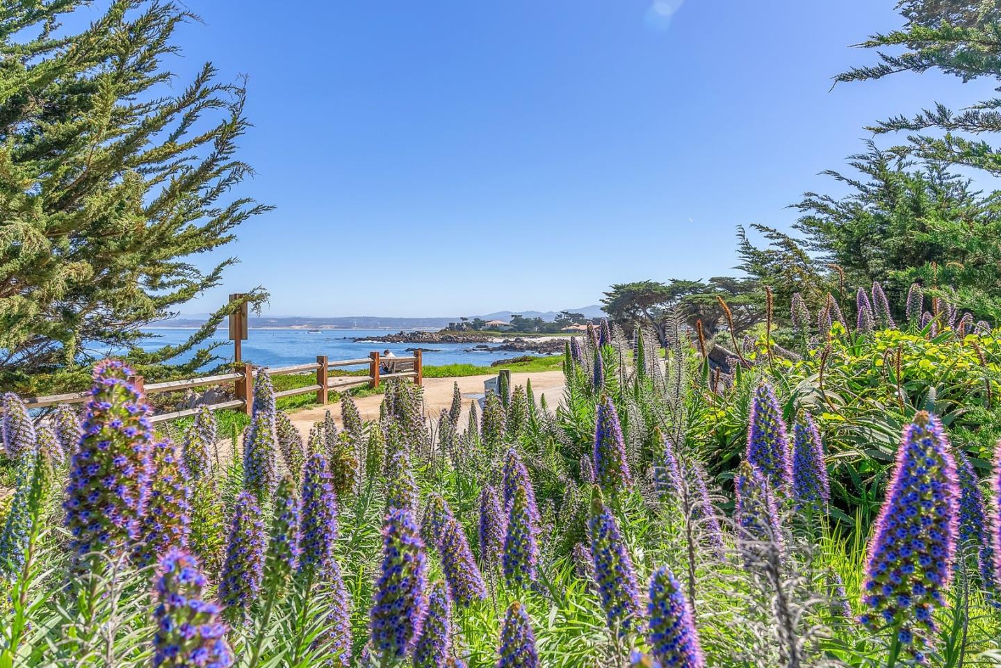 Detail Gallery Image 55 of 57 For 216 2nd St, Pacific Grove,  CA 93950 - 2 Beds | 2 Baths