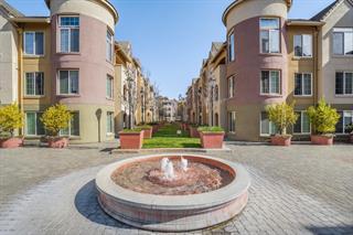 Detail Gallery Image 1 of 38 For 1550 Technology Dr #2068,  San Jose,  CA 95110 - 1 Beds | 1 Baths