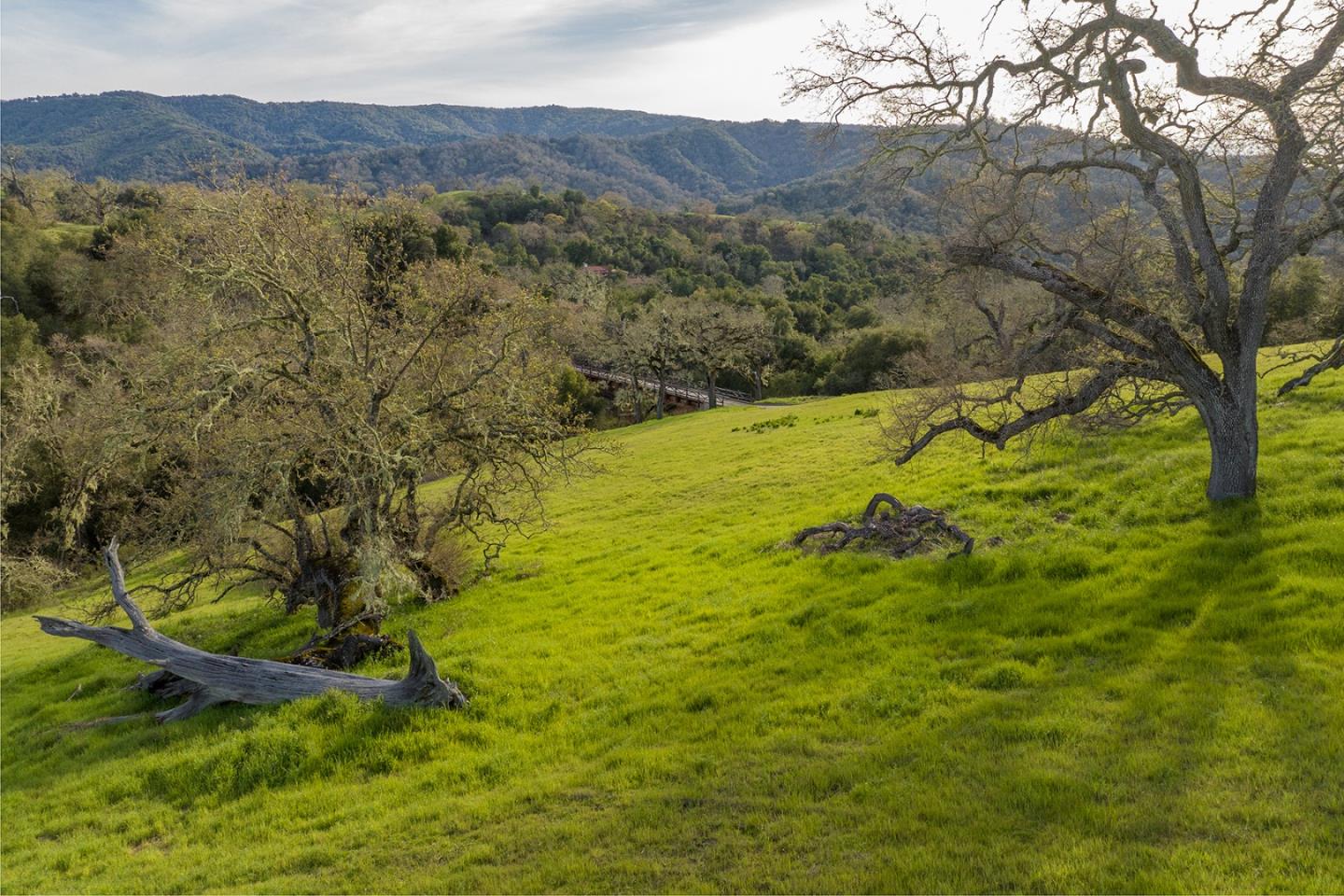 Detail Gallery Image 8 of 16 For 21 Pronghorn Run (Lot 119), Carmel,  CA 93923 - – Beds | – Baths