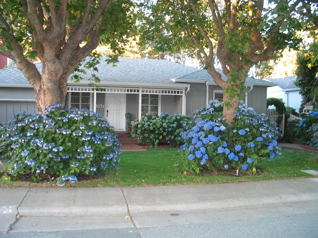 Detail Gallery Image 1 of 1 For 3031 Flores St, San Mateo,  CA 94403 - 3 Beds | 2 Baths