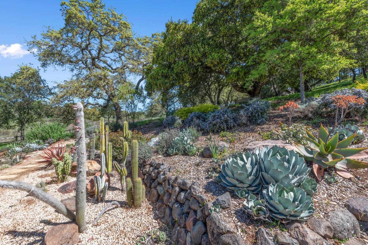 Detail Gallery Image 72 of 79 For 178 Pinon Dr, Portola Valley,  CA 94028 - 4 Beds | 4/1 Baths
