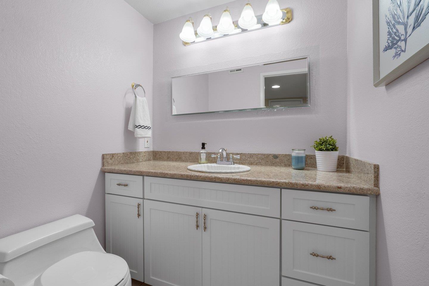 Detail Gallery Image 19 of 43 For 1669 White Creek Ln, San Jose,  CA 95125 - 3 Beds | 2/1 Baths