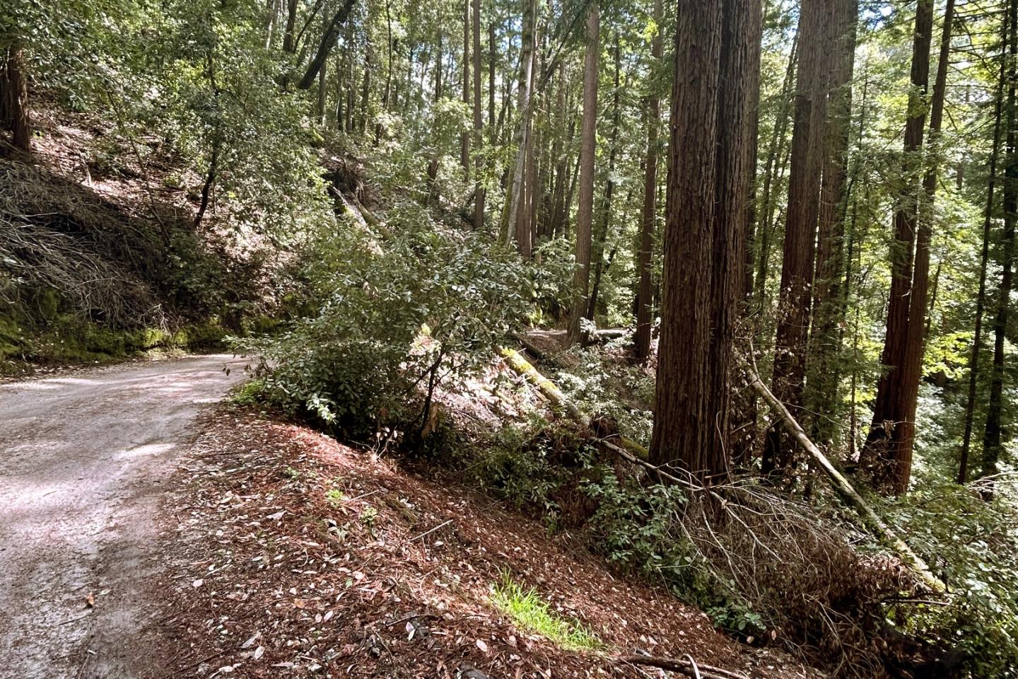 Photo of 0 Hermit Ranch Rd in Ben Lomond, CA