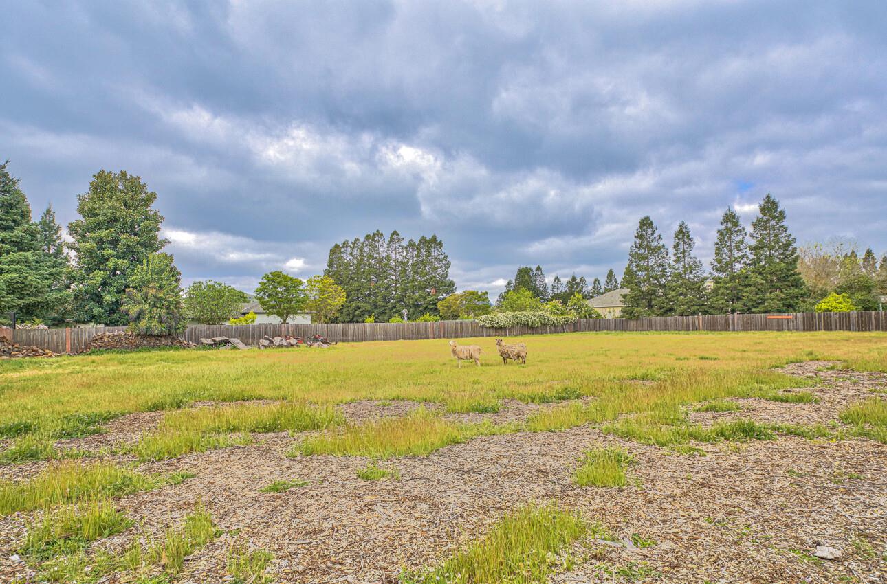 225 Cox Ave, San Martin, CA 95046 4 Beds 2/1 Baths