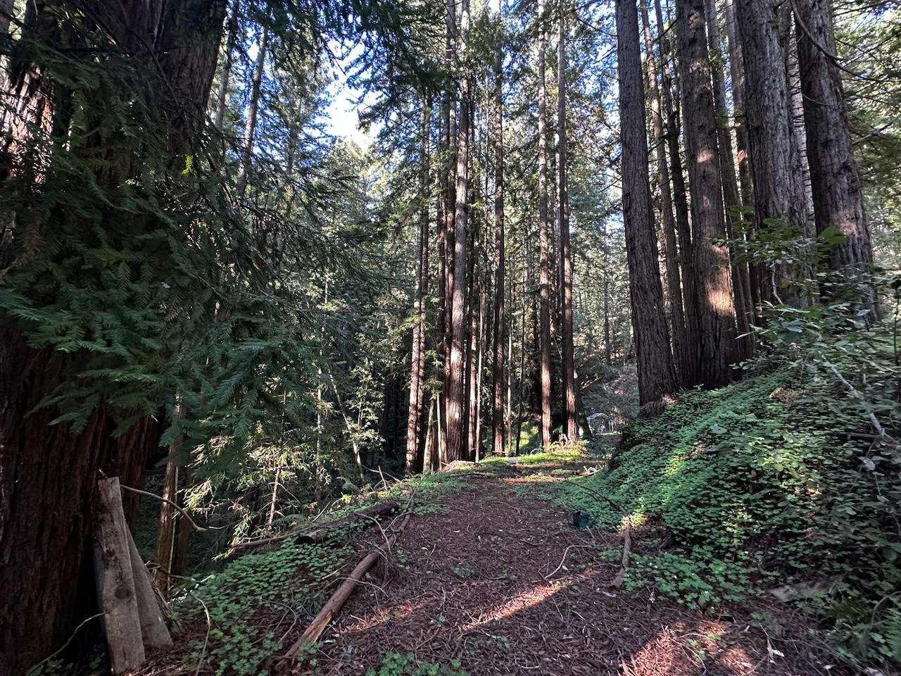 0 Freedom Way, Twain Harte, CA, 95383