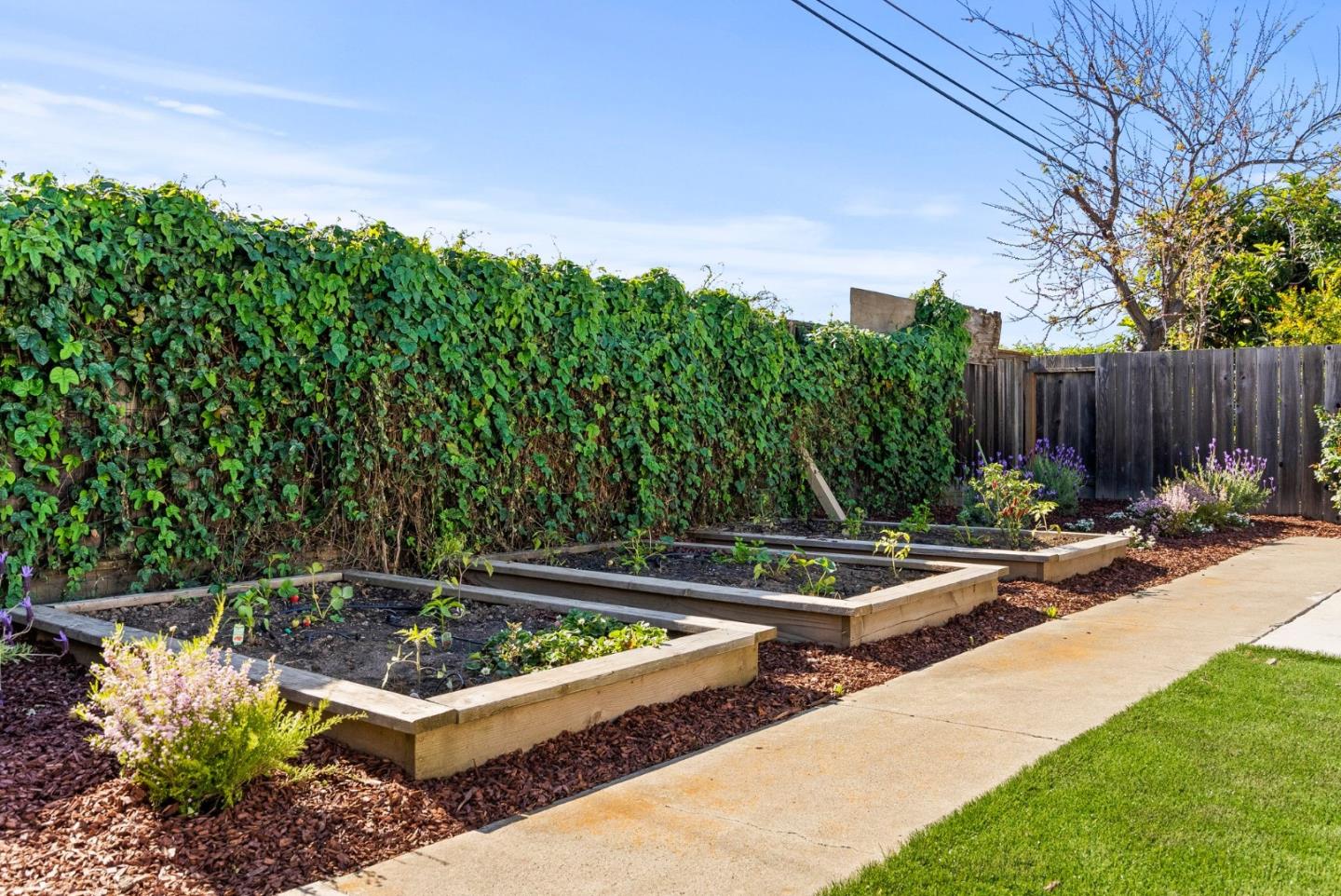 43291-cedarwood-dr-fremont-ca-94538-3-beds-2-baths-active