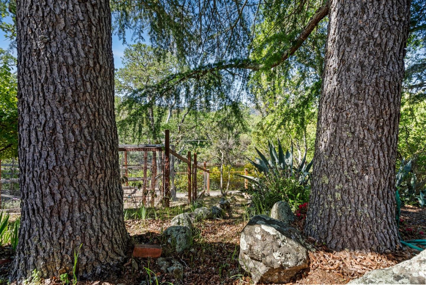 Detail Gallery Image 29 of 36 For 155 Lake Rd, Portola Valley,  CA 94028 - 2 Beds | 1 Baths