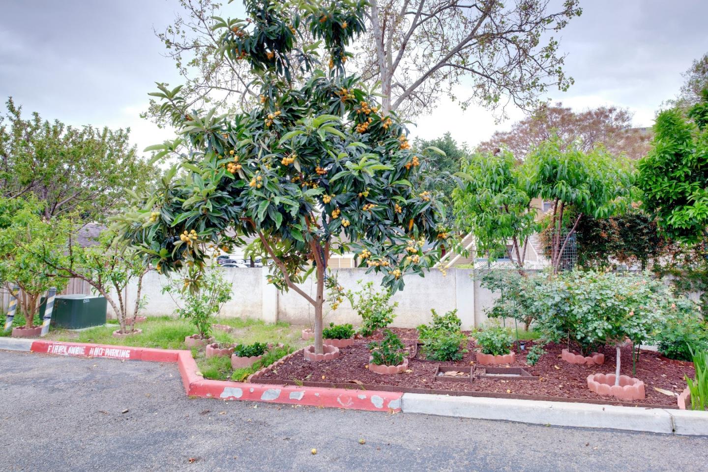 Detail Gallery Image 54 of 60 For 304 Morning Star Dr, San Jose,  CA 95131 - 3 Beds | 2 Baths