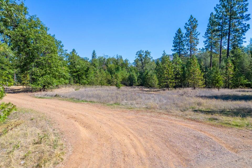 Detail Gallery Image 11 of 22 For 17 Acres in Lakehead, Lakehead,  CA 96051 - – Beds | – Baths