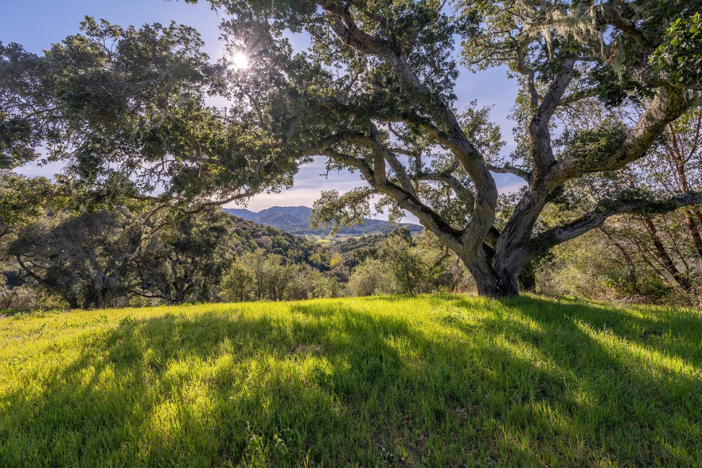 Detail Gallery Image 9 of 9 For 7 Vasquez Trail (Lot 172), Carmel,  CA 93923 - – Beds | – Baths