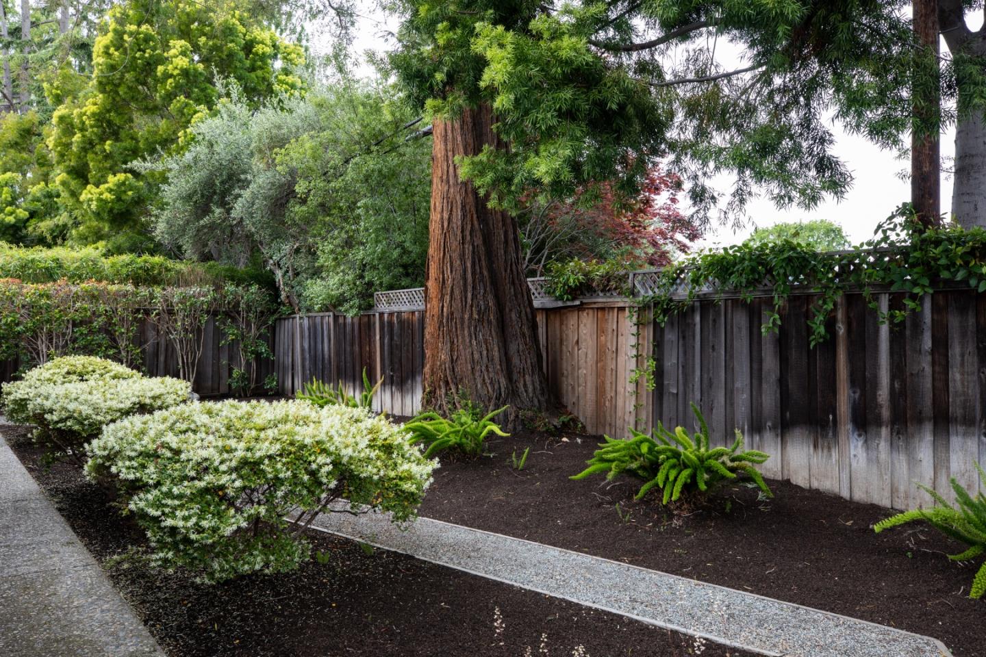 Detail Gallery Image 23 of 26 For 1535 Channing Ave, Palo Alto,  CA 94303 - 3 Beds | 2 Baths