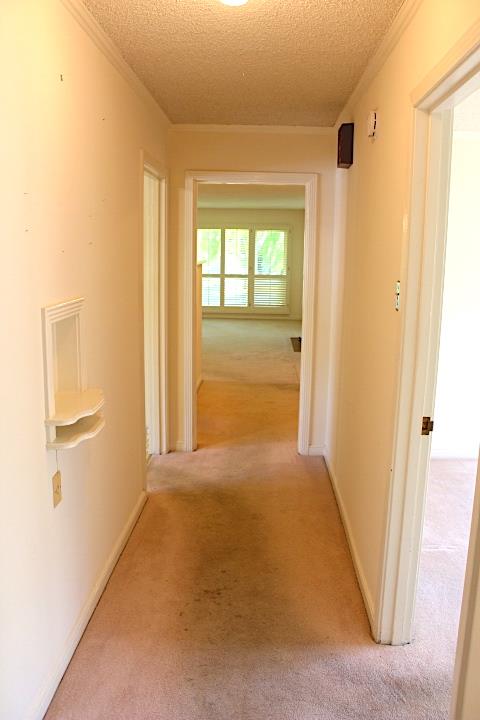 Detail Gallery Image 22 of 27 For 226 Sylvan Ave, San Mateo,  CA 94403 - 3 Beds | 2/1 Baths