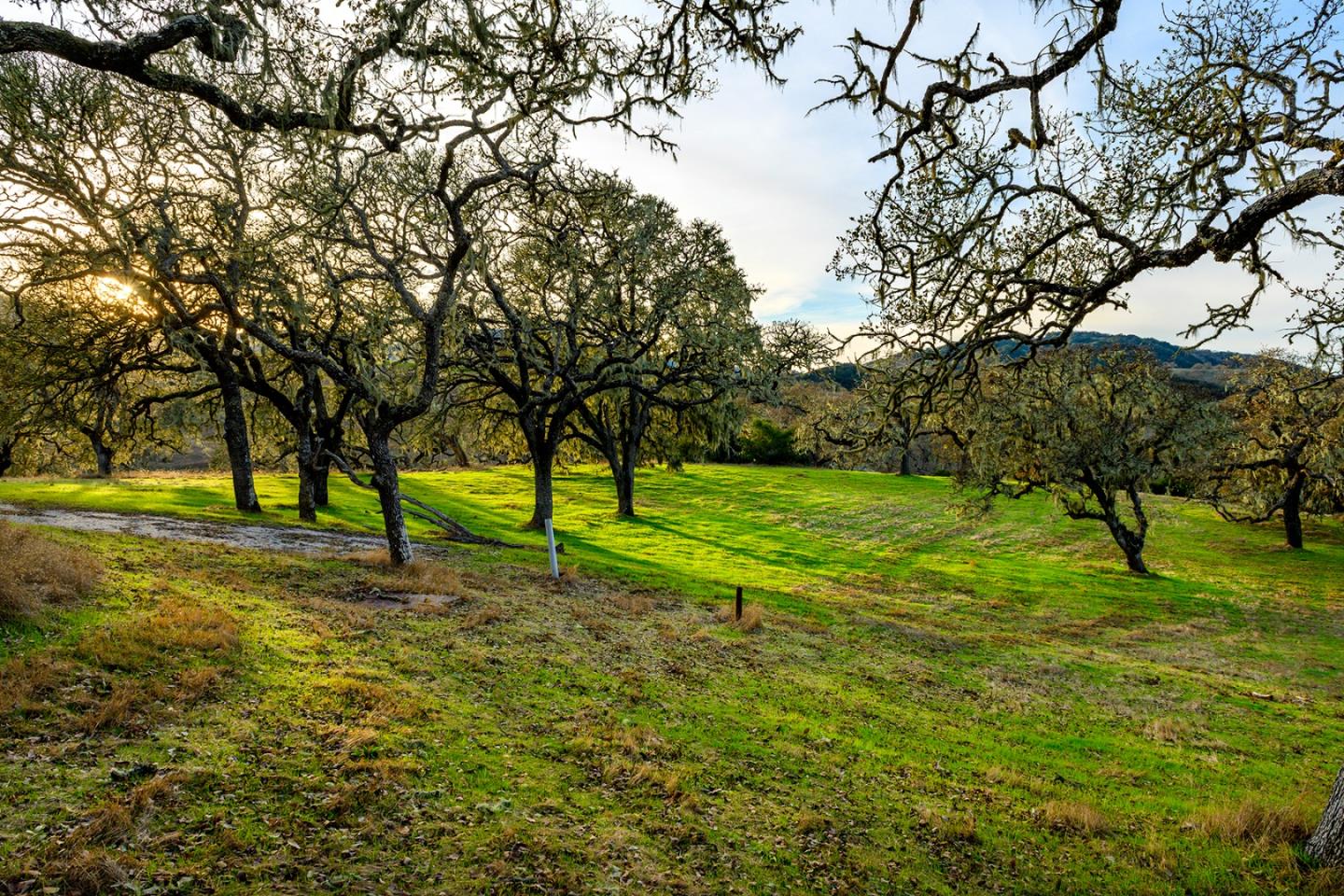 Detail Gallery Image 10 of 12 For 14 Vasquez Trail (Lot 181), Carmel,  CA 93923 - – Beds | – Baths