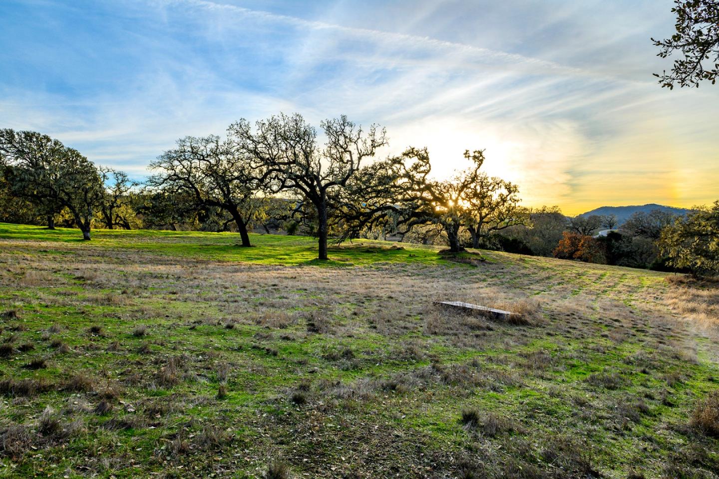 Detail Gallery Image 3 of 12 For 14 Vasquez Trail (Lot 181), Carmel,  CA 93923 - – Beds | – Baths