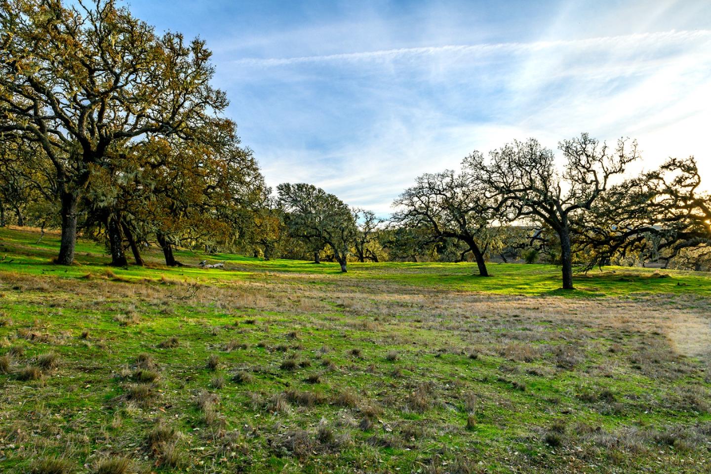 Detail Gallery Image 4 of 12 For 14 Vasquez Trail (Lot 181), Carmel,  CA 93923 - – Beds | – Baths