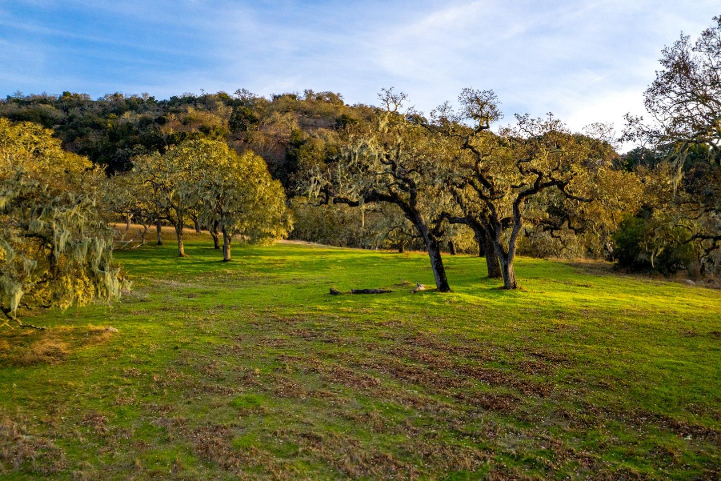 Detail Gallery Image 5 of 12 For 14 Vasquez Trail (Lot 181), Carmel,  CA 93923 - – Beds | – Baths