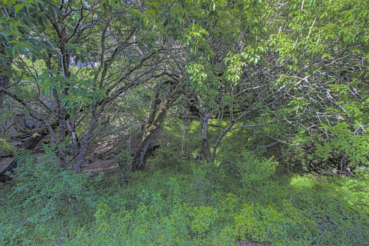 0 Sylvan Way, Redwood City, California 94062, ,Land,For Sale,0 Sylvan Way,ML81963346