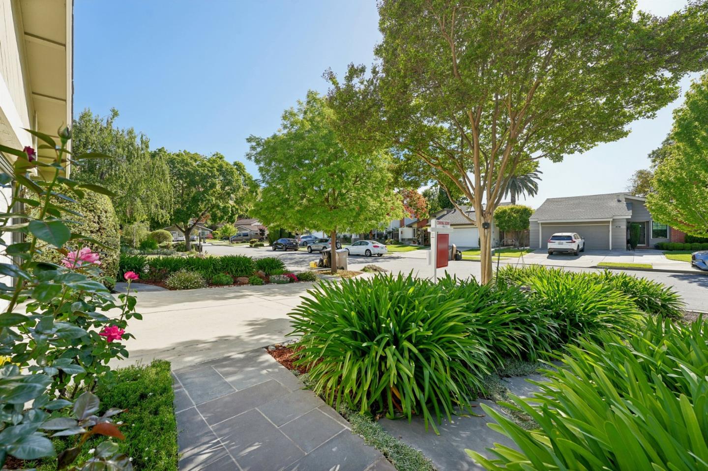 Detail Gallery Image 77 of 108 For 6514 Hercus Ct, San Jose,  CA 95119 - 4 Beds | 2 Baths