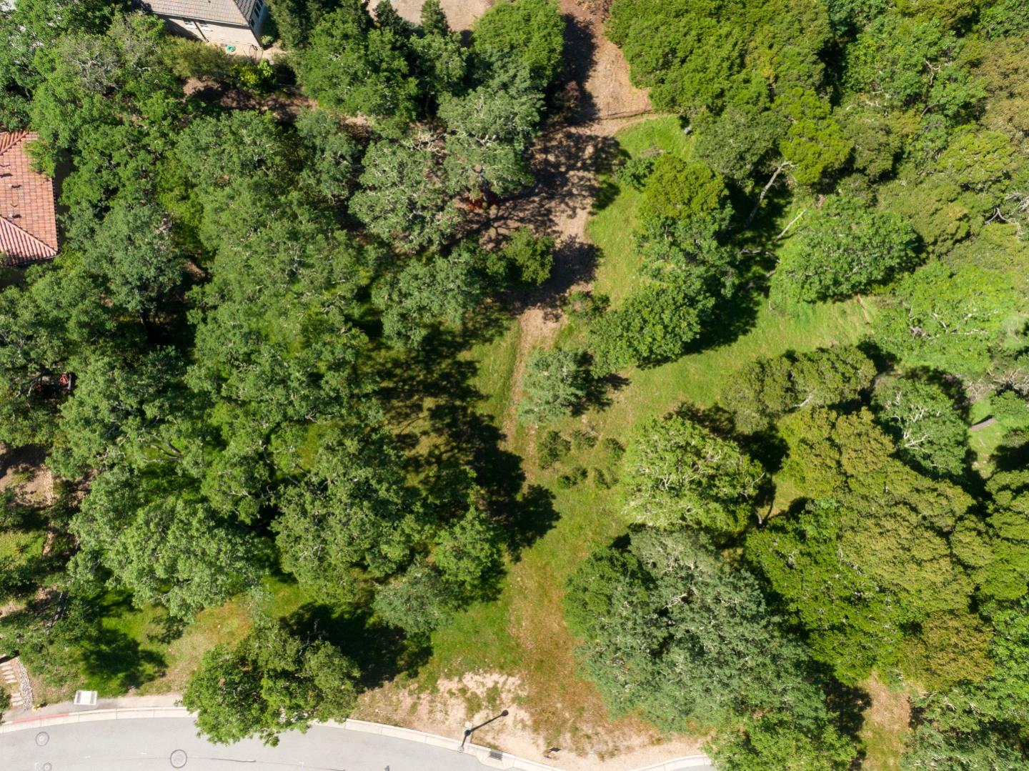 8341 Winter Green Court, Gilroy, California 95020, ,Land,For Sale,8341 Winter Green Court,ML81963740