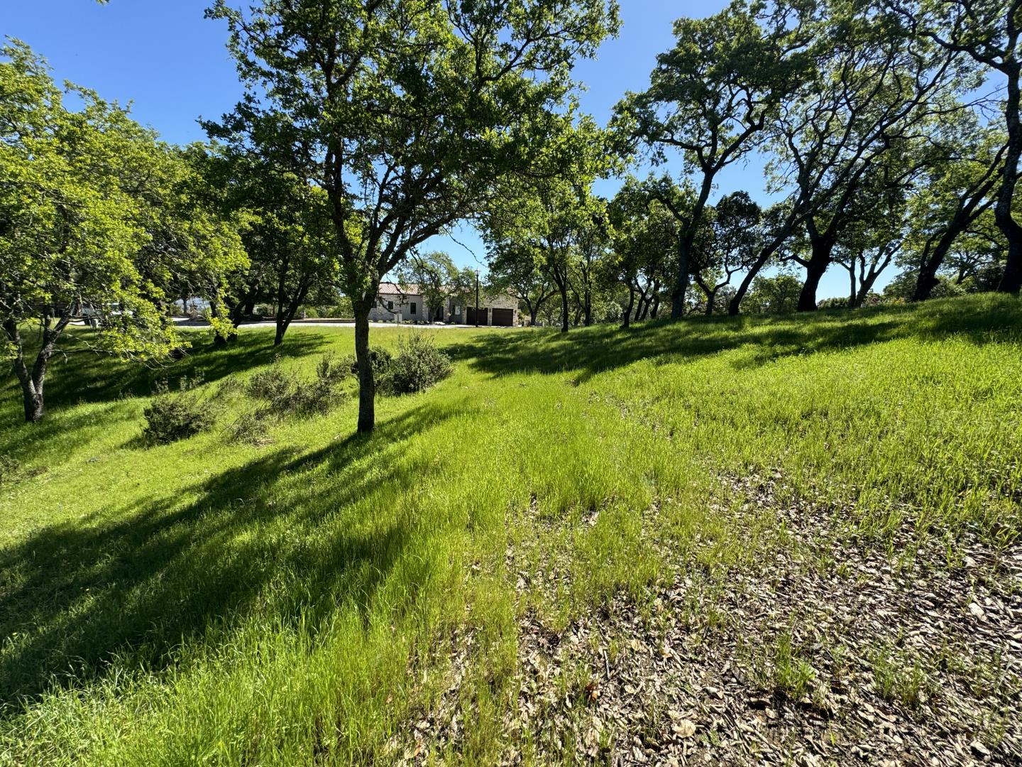 8341 Winter Green Court, Gilroy, California 95020, ,Land,For Sale,8341 Winter Green Court,ML81963740