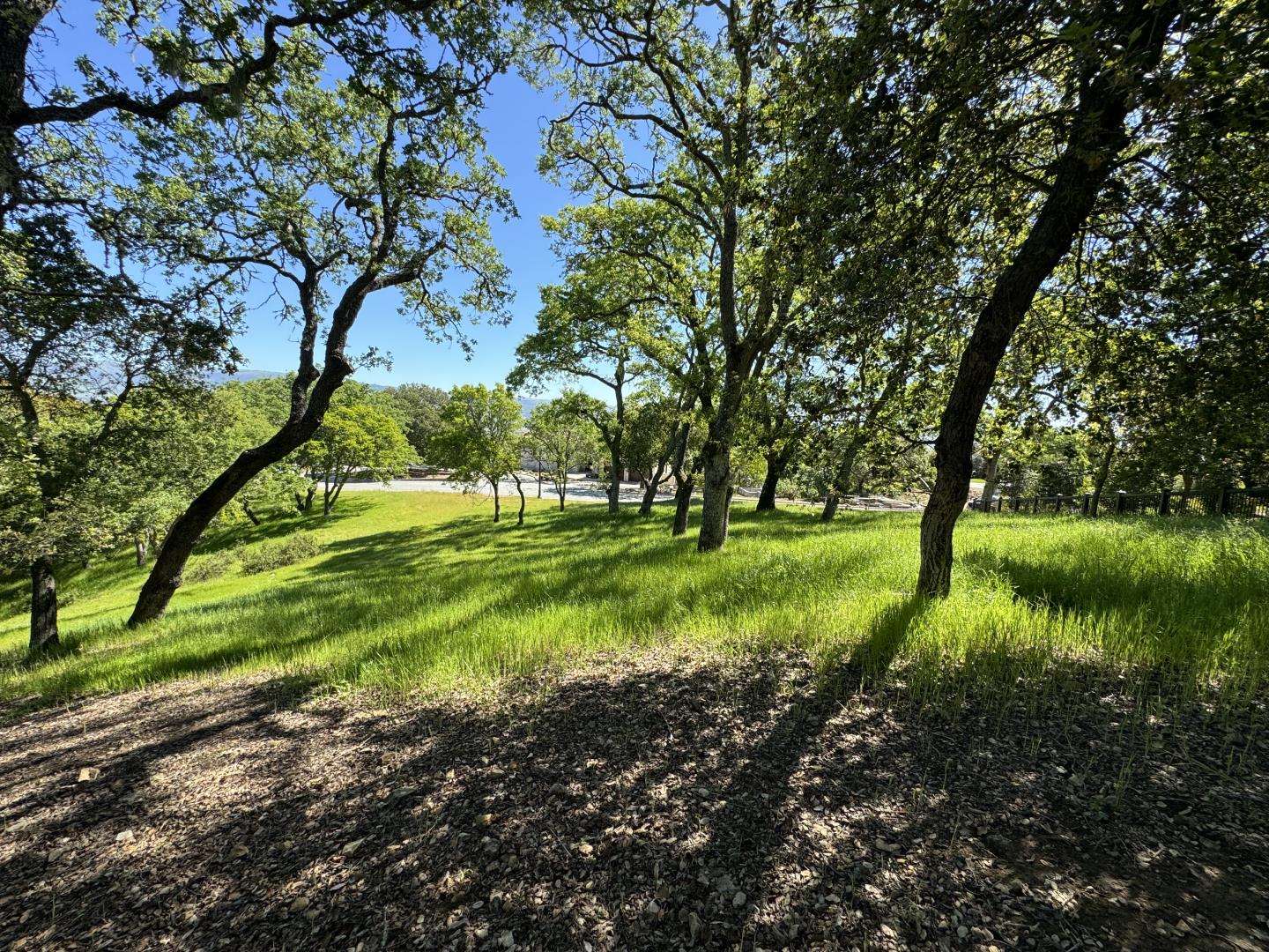 8341 Winter Green Court, Gilroy, California 95020, ,Land,For Sale,8341 Winter Green Court,ML81963740