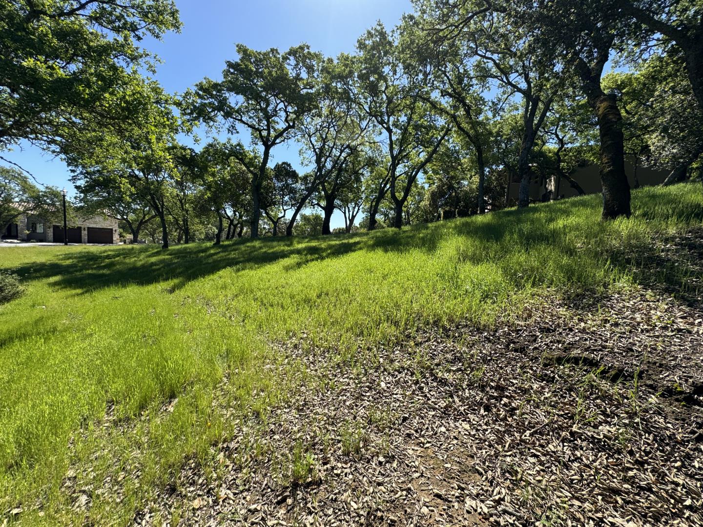 8341 Winter Green Court, Gilroy, California 95020, ,Land,For Sale,8341 Winter Green Court,ML81963740