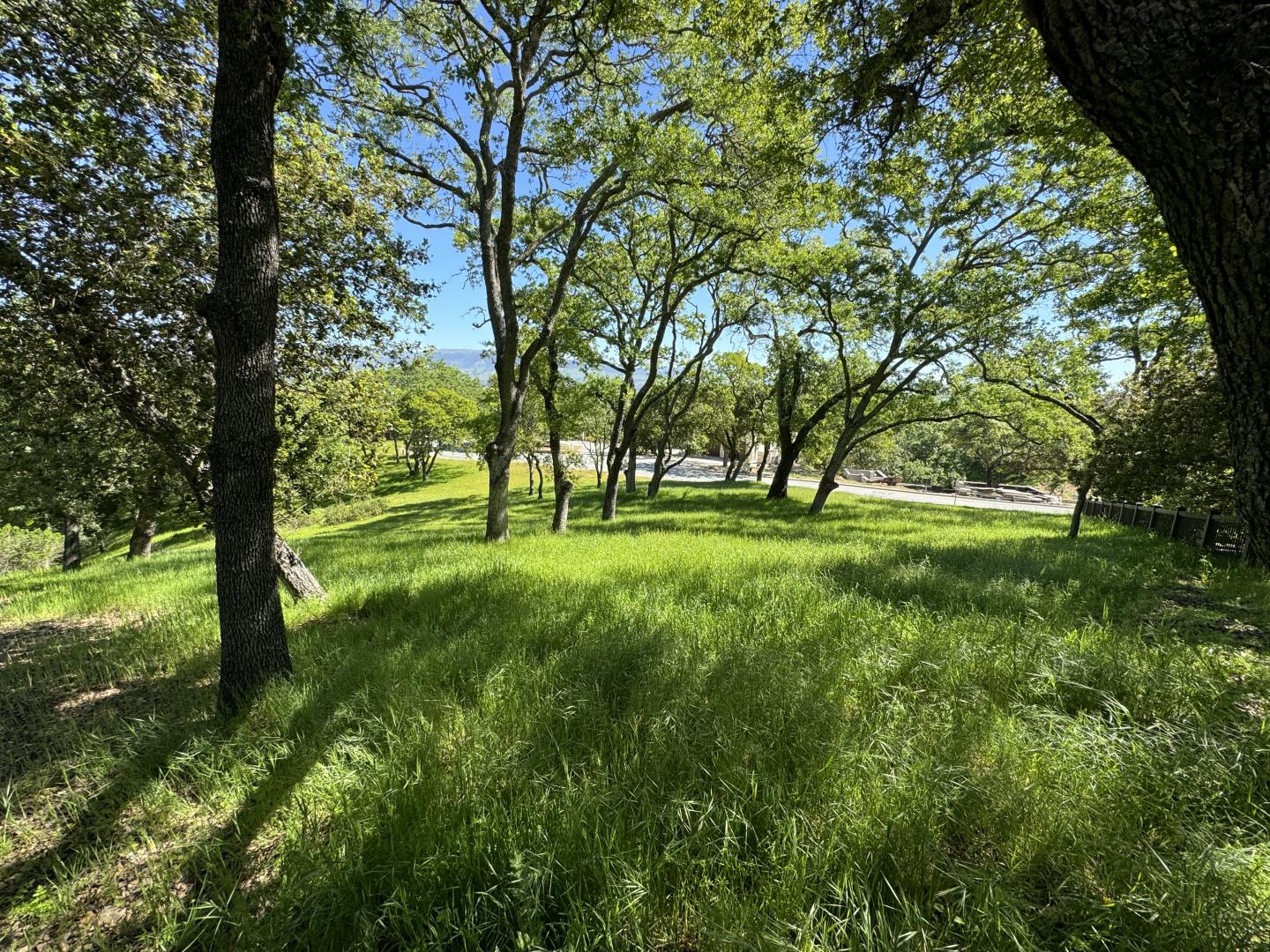 8341 Winter Green Court, Gilroy, California 95020, ,Land,For Sale,8341 Winter Green Court,ML81963740