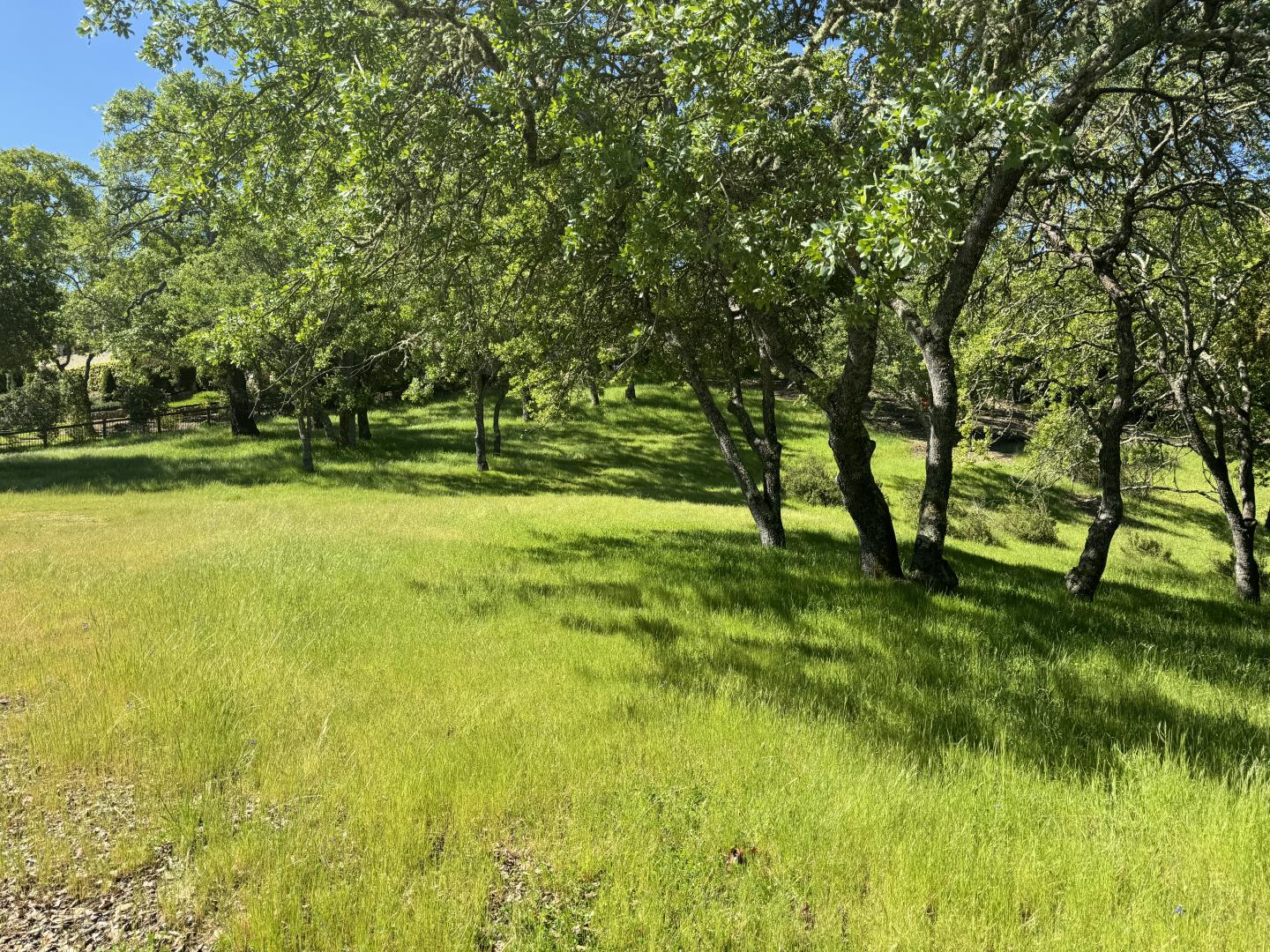 8341 Winter Green Court, Gilroy, California 95020, ,Land,For Sale,8341 Winter Green Court,ML81963740