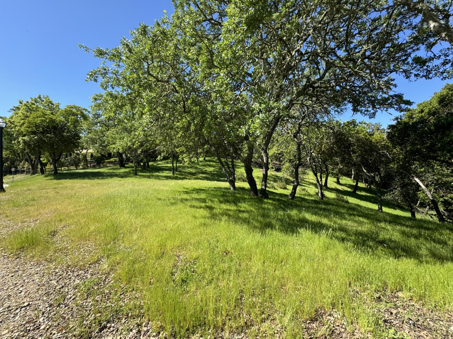 8341 Winter Green Court, Gilroy, California 95020, ,Land,For Sale,8341 Winter Green Court,ML81963740