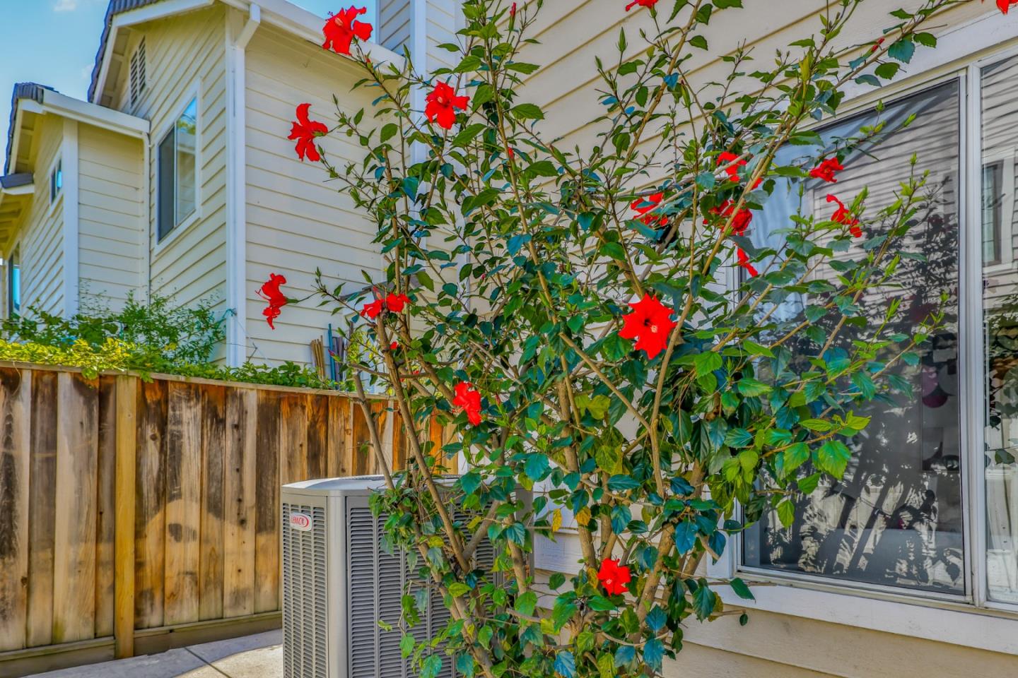 Detail Gallery Image 2 of 49 For 1552 Oyama Dr, San Jose,  CA 95131 - 4 Beds | 2/1 Baths