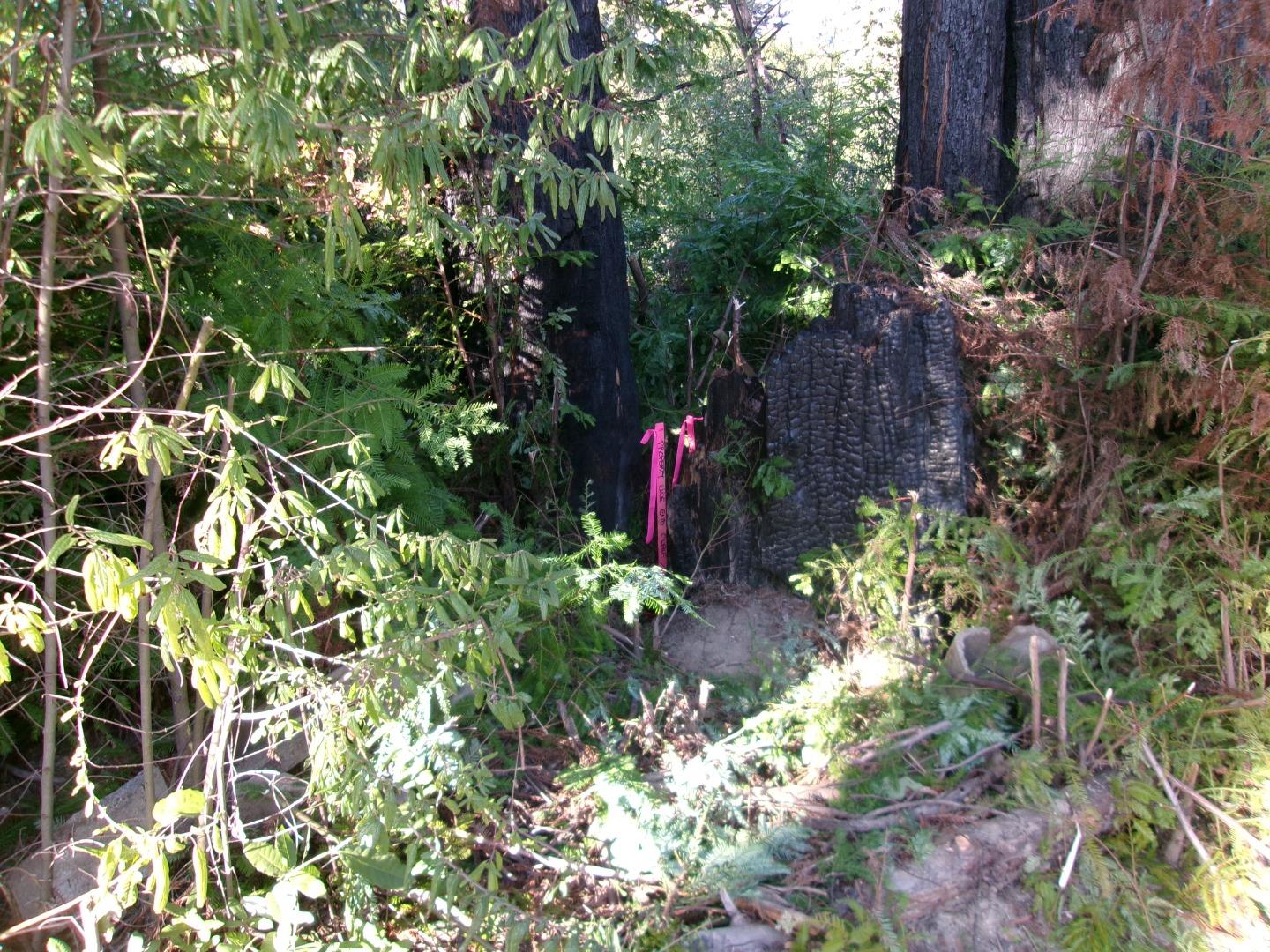 Detail Gallery Image 10 of 11 For 0 Fallen Leaf Dr, Boulder Creek,  CA 95006 - – Beds | – Baths