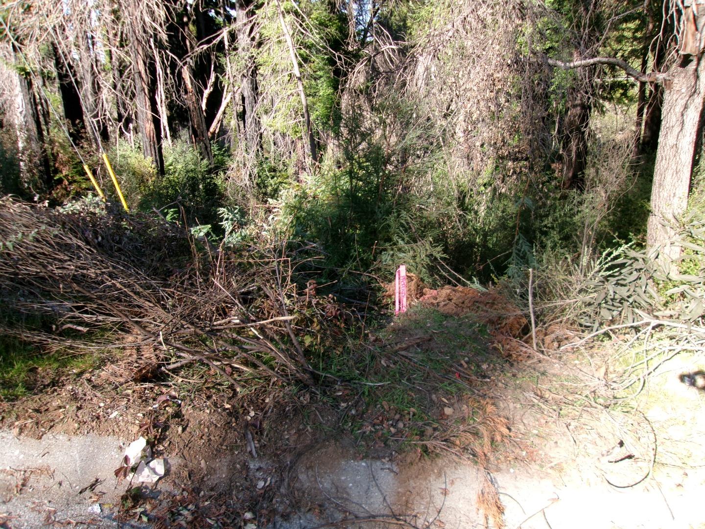 Detail Gallery Image 13 of 13 For 0 Fallen Leaf Dr, Boulder Creek,  CA 95006 - – Beds | – Baths