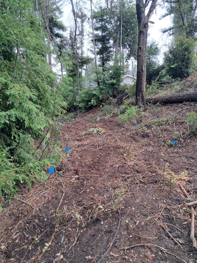 Detail Gallery Image 3 of 13 For 0 Fallen Leaf Dr, Boulder Creek,  CA 95006 - – Beds | – Baths