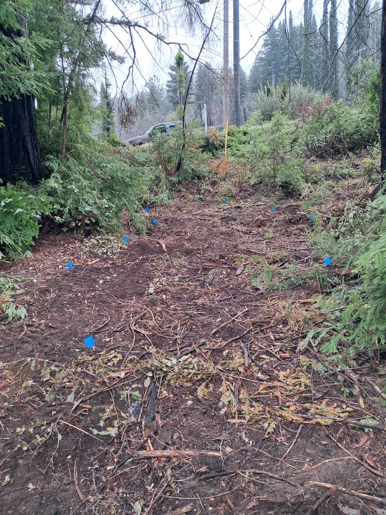 Detail Gallery Image 4 of 13 For 0 Fallen Leaf Dr, Boulder Creek,  CA 95006 - – Beds | – Baths