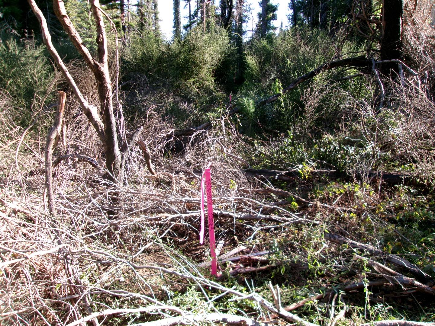 Detail Gallery Image 7 of 11 For 0 Fallen Leaf Dr, Boulder Creek,  CA 95006 - – Beds | – Baths
