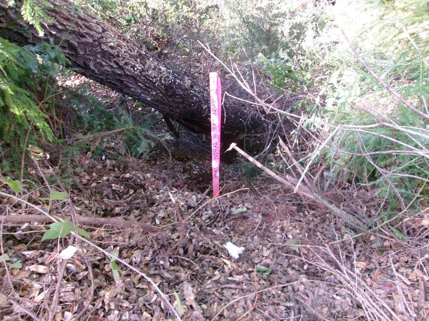 Detail Gallery Image 9 of 11 For 0 Fallen Leaf Dr, Boulder Creek,  CA 95006 - – Beds | – Baths