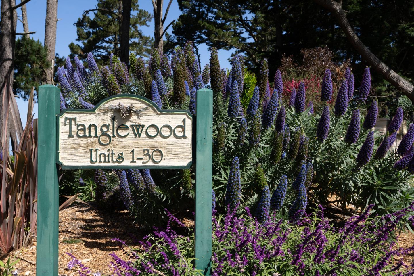 Detail Gallery Image 33 of 35 For 250 Forest Ridge Rd #14,  Monterey,  CA 93940 - 2 Beds | 2 Baths