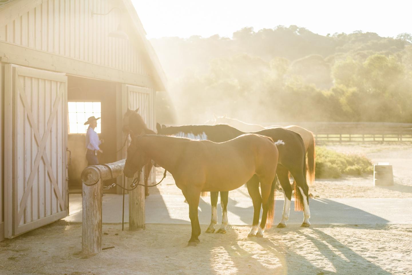 Detail Gallery Image 15 of 16 For 9 Corral (Lot D3) Run, Carmel,  CA 93923 - – Beds | – Baths