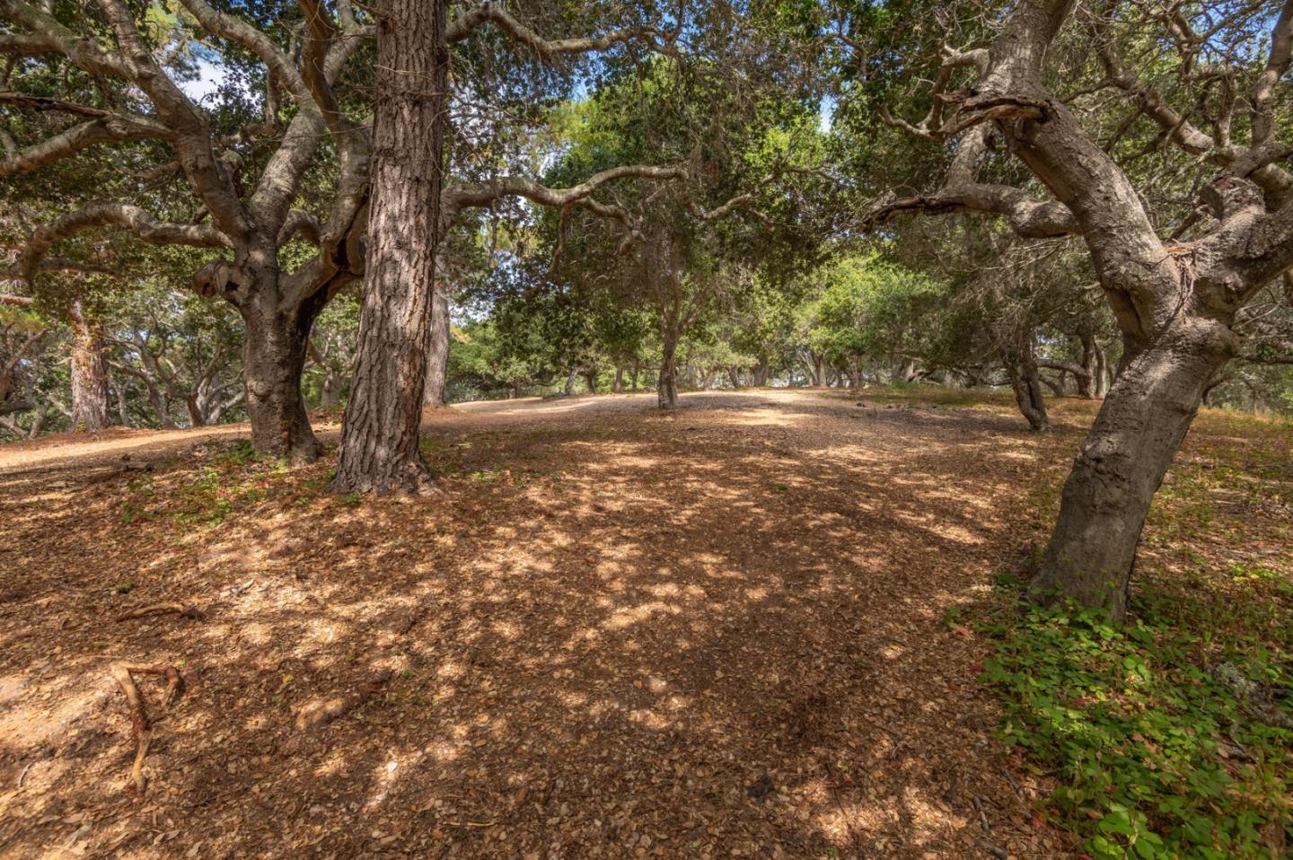 Detail Gallery Image 5 of 16 For 9 Corral (Lot D3) Run, Carmel,  CA 93923 - – Beds | – Baths