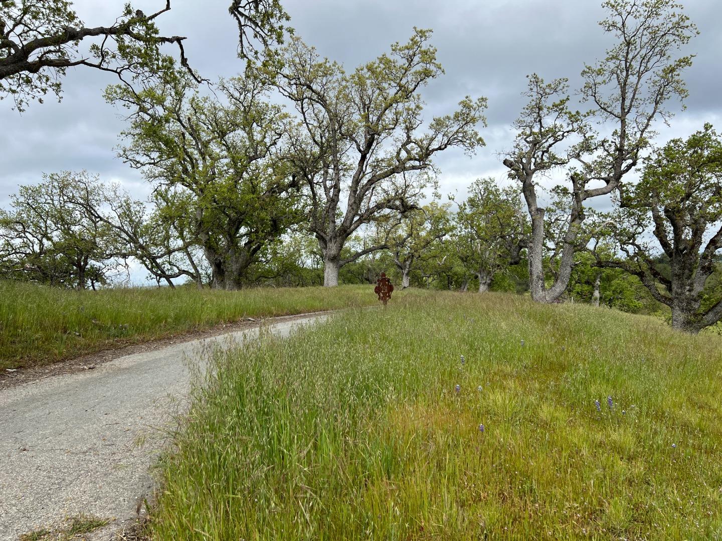 Detail Gallery Image 23 of 31 For 13 Long Ridge Trl, Carmel Valley,  CA 93923 - – Beds | – Baths