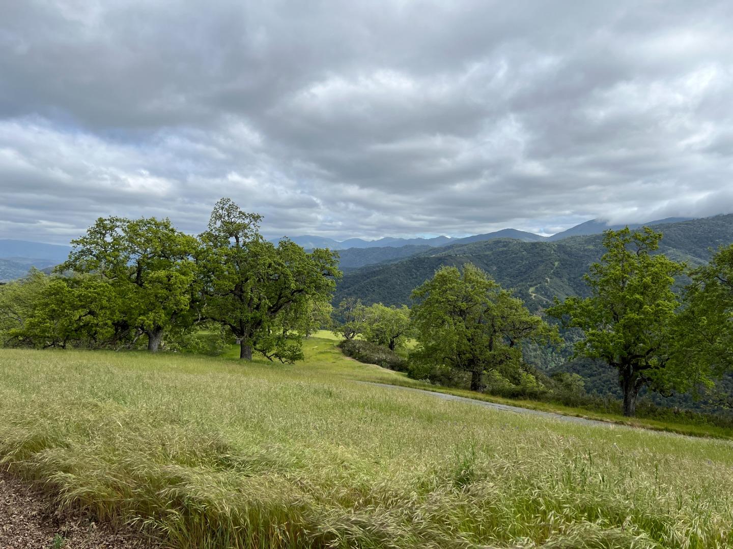 Detail Gallery Image 31 of 31 For 13 Long Ridge Trl, Carmel Valley,  CA 93923 - – Beds | – Baths