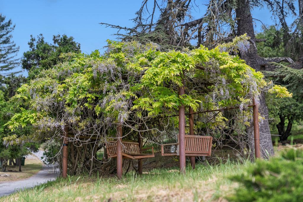 Detail Gallery Image 35 of 38 For 350 Enos Ln, Watsonville,  CA 95076 - 3 Beds | 2 Baths