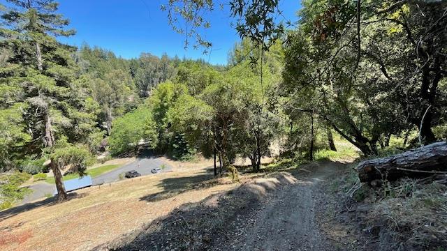 Detail Gallery Image 52 of 84 For 752 Glen Canyon Rd, Santa Cruz,  CA 95060 - 3 Beds | 2 Baths