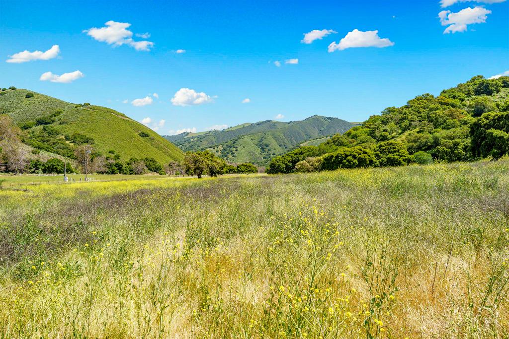 Detail Gallery Image 23 of 40 For 31280 Chualar Canyon Rd, Chualar,  CA 93925 - 4 Beds | 1 Baths