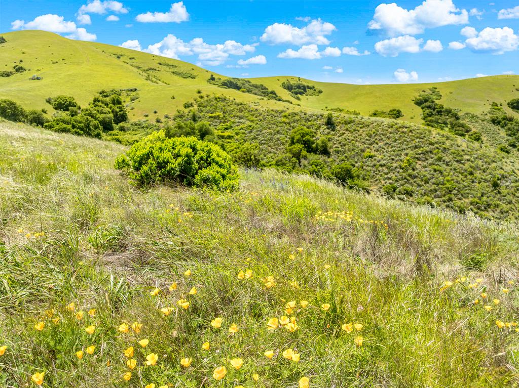 Detail Gallery Image 39 of 40 For 31280 Chualar Canyon Rd, Chualar,  CA 93925 - 4 Beds | 1 Baths