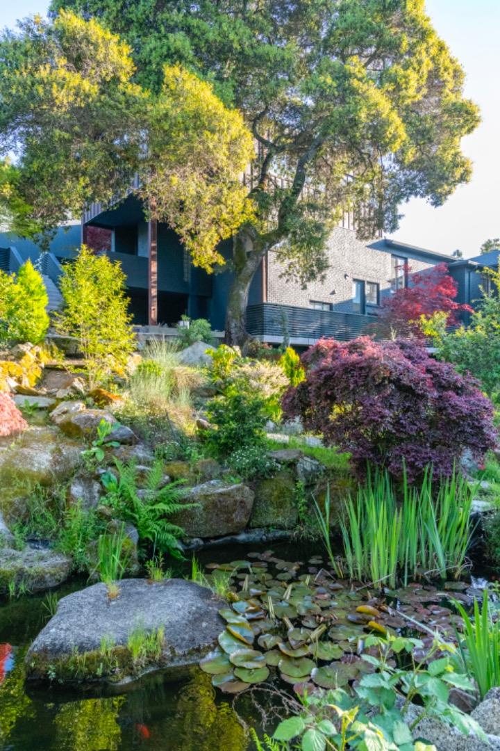 Detail Gallery Image 17 of 116 For 12 Las Aromas, Orinda,  CA 94563 - 8 Beds | 6/5 Baths