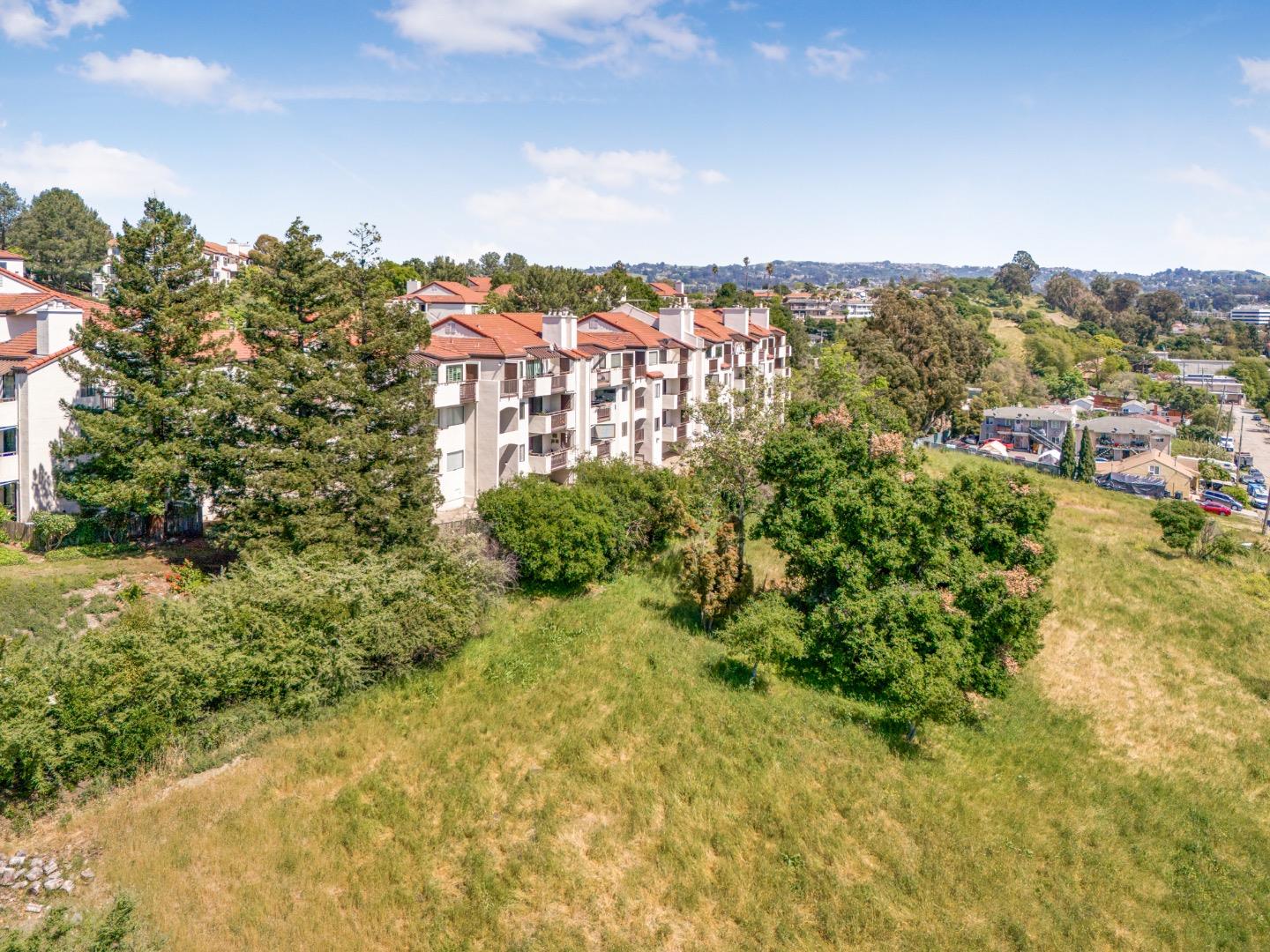 21239 Gary Dr Apt 206a, Hayward, CA 94546 photo 33