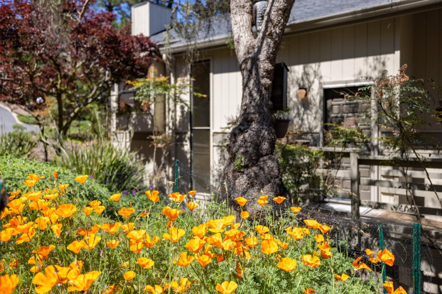 Detail Gallery Image 31 of 32 For 70 Forest Ridge Rd #1,  Monterey,  CA 93940 - 2 Beds | 2/1 Baths